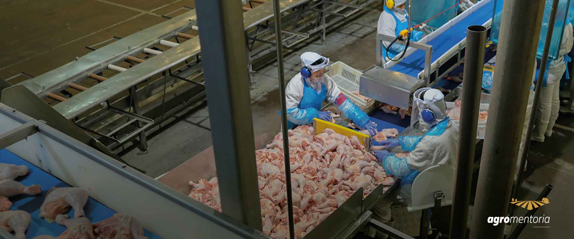 Exportações de carne de frango mantém alta de 9% em 2021