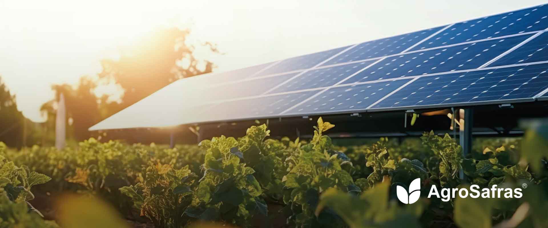 AgroSafras - Energia Solar