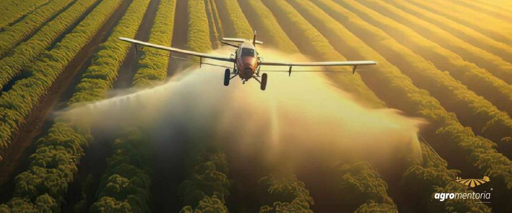 STF mantém proibição de pulverização aérea de agrotóxicos no Ceará